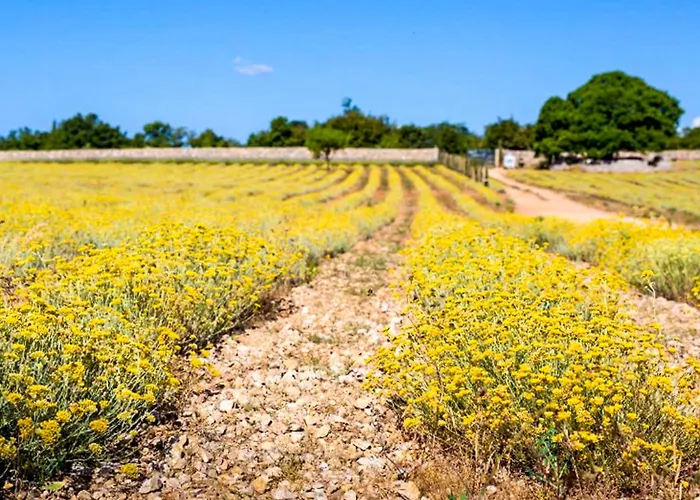 Appartamento Pampas By Interhome