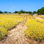 Διαμέρισμα Pampas By Interhome